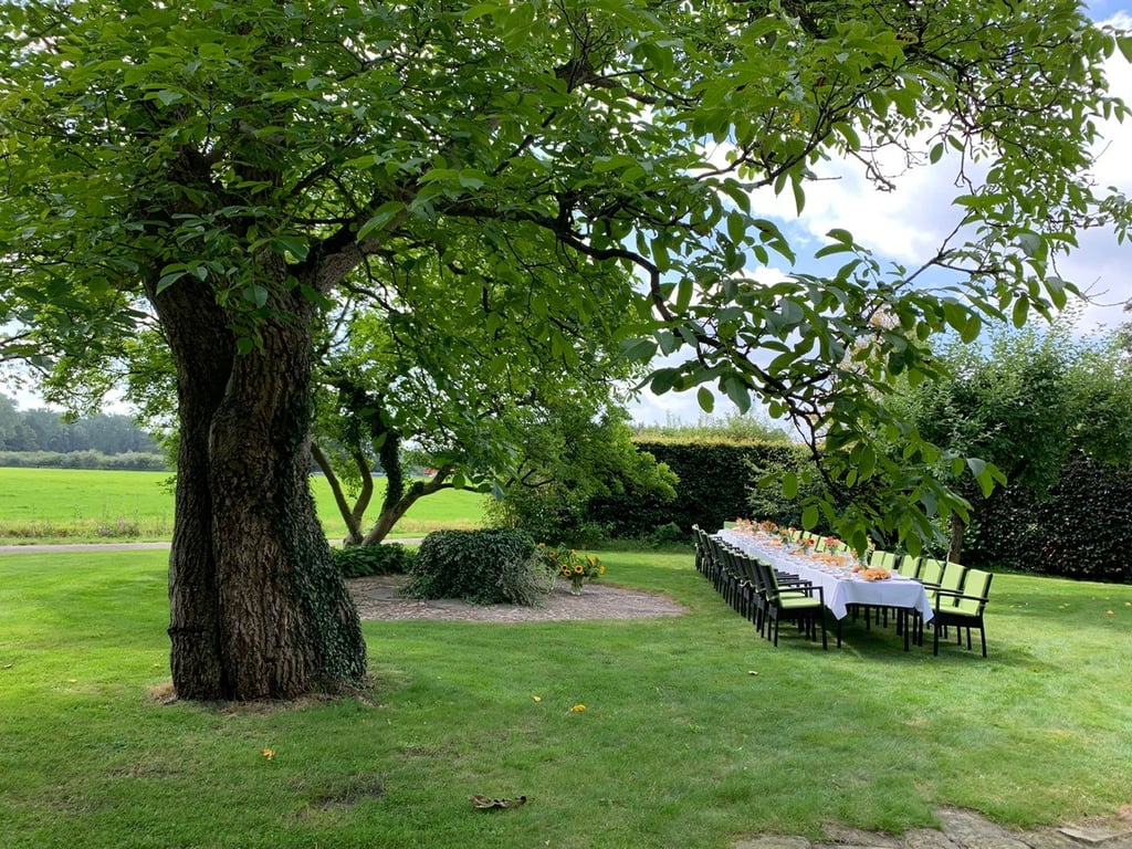 Diner onder de bomen